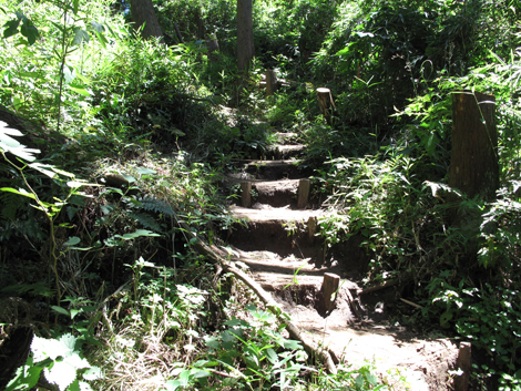 20150715hike (98)